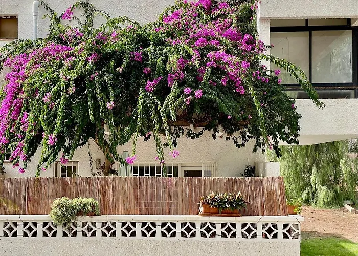 דירה Casa Zoltan קוסטה דל סילנסיו